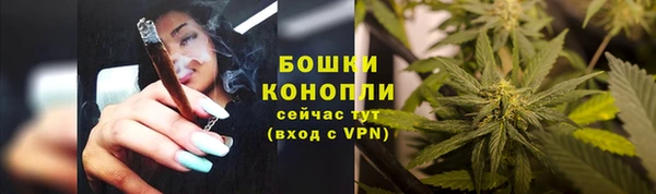 не бодяженный Новозыбков