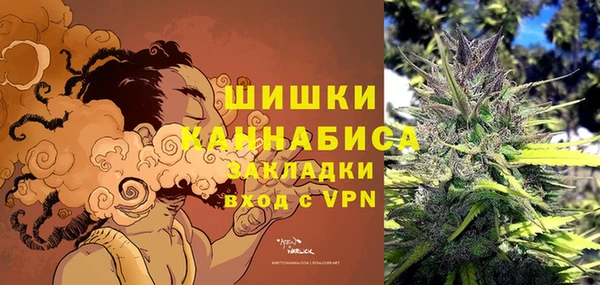 не бодяженный Новозыбков