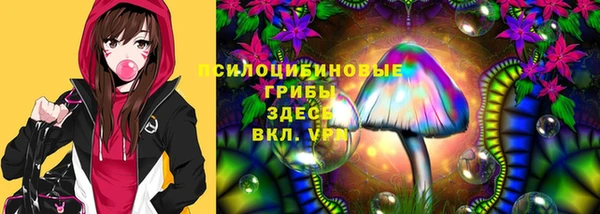 не бодяженный Новозыбков