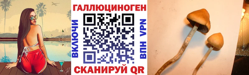 blacksprut зеркало  наркошоп  Кудрово  даркнет официальный сайт  Псилоцибиновые грибы Psilocybine cubensis 