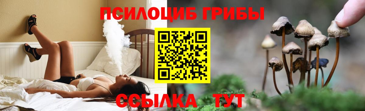 Галлюциногенные грибы Cubensis Кудрово